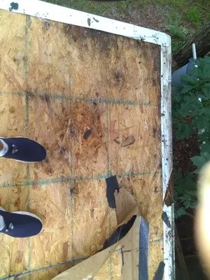 MV Roofing And Tree Services