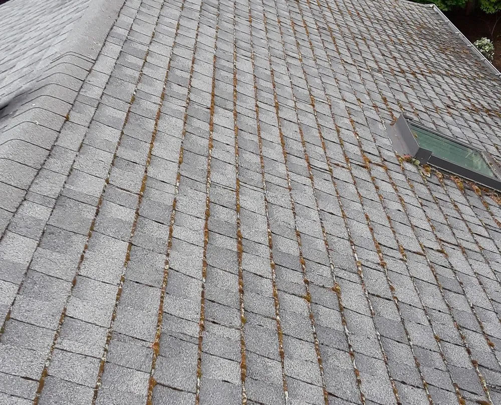 Slide of M&W Roof Service