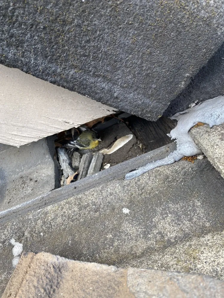 Slide of M&W Roof Service