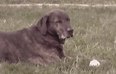 Slide of MWR Roofing