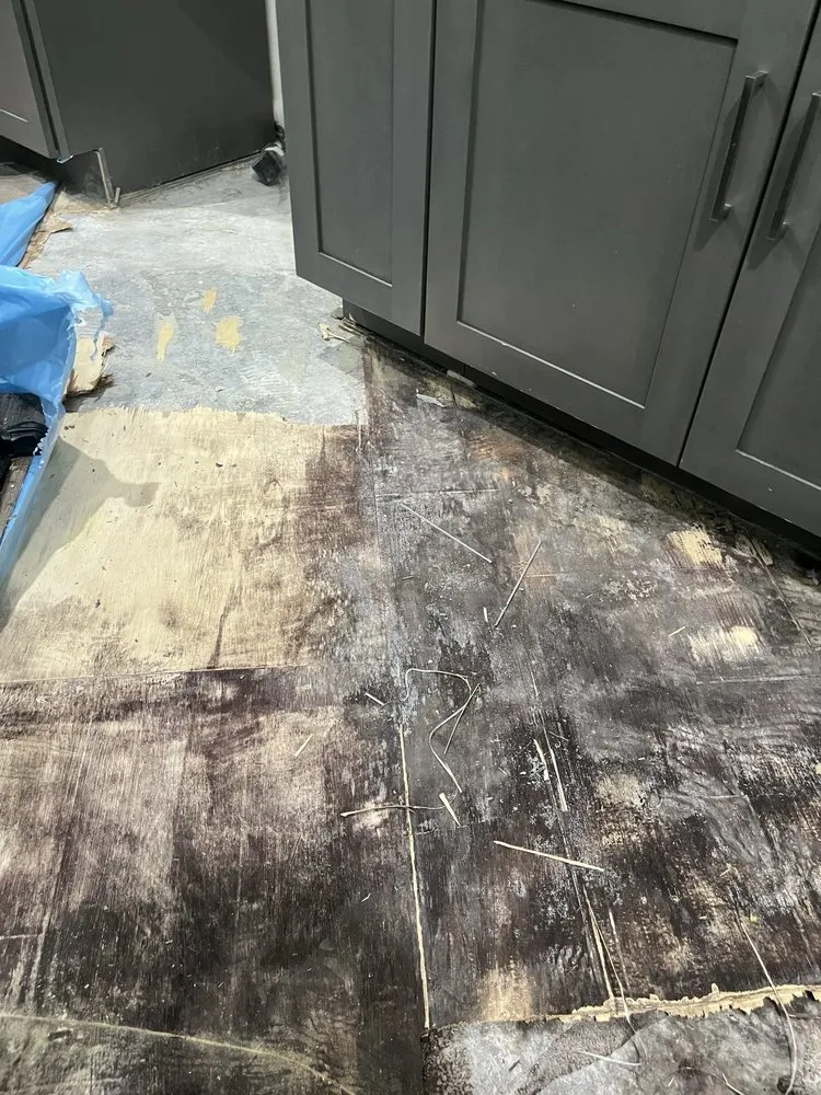 Slide of My Jack Of All Trades