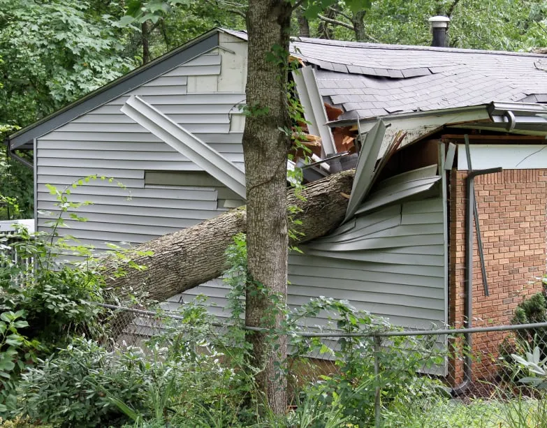 Top-rated roof inspection in Hamilton Township, NJ - My Roofing Contractor