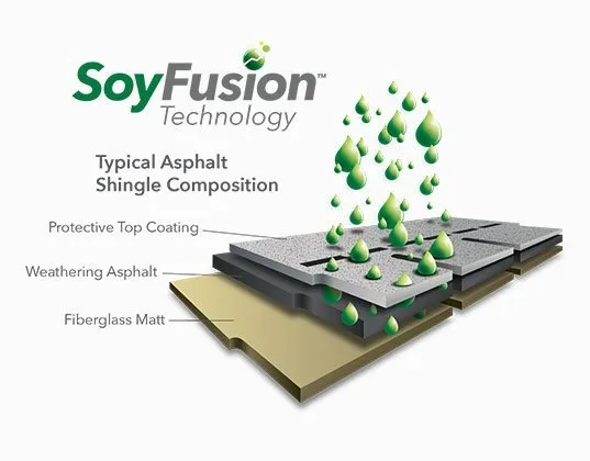 Slide of My Shingle Roof