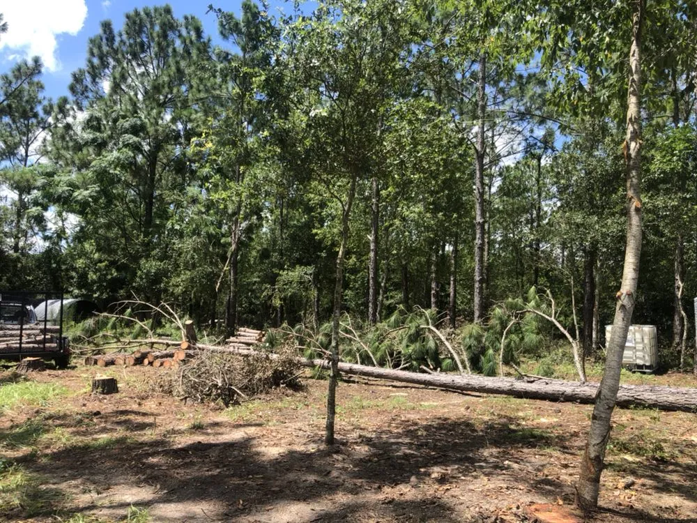 Slide of Mystery Team