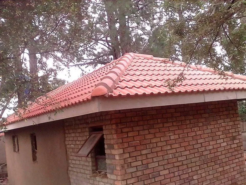 Slide of Nachos Roofing