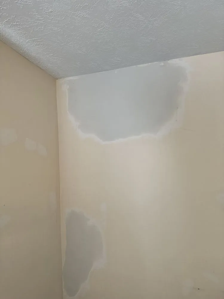 Slide of Nailed It Construction