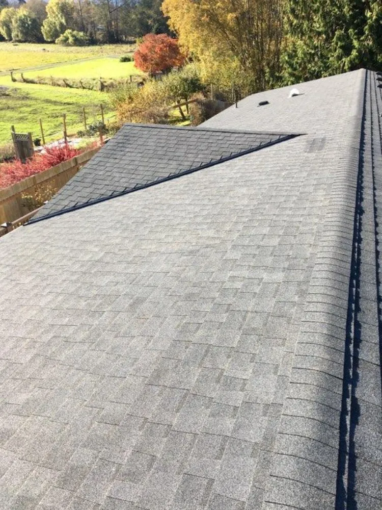 Slide of Nailed it Contracting & Roofing