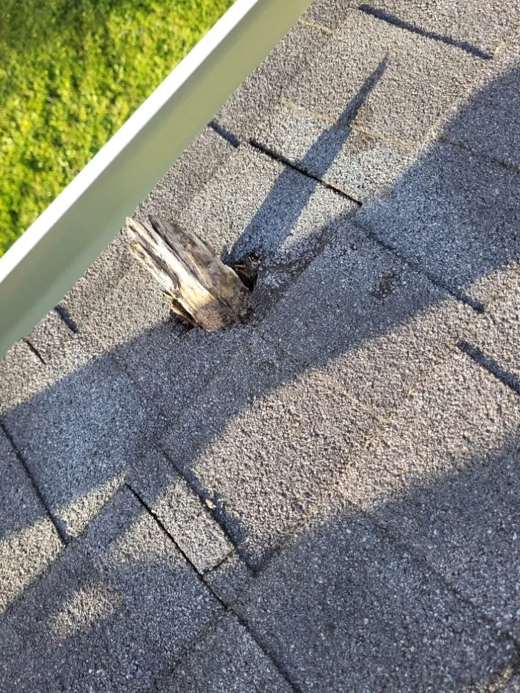 Slide of Nailhead Roofing