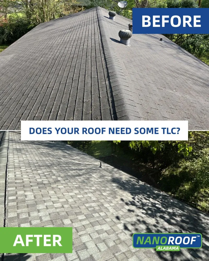 Slide of Nanoroof Alabama