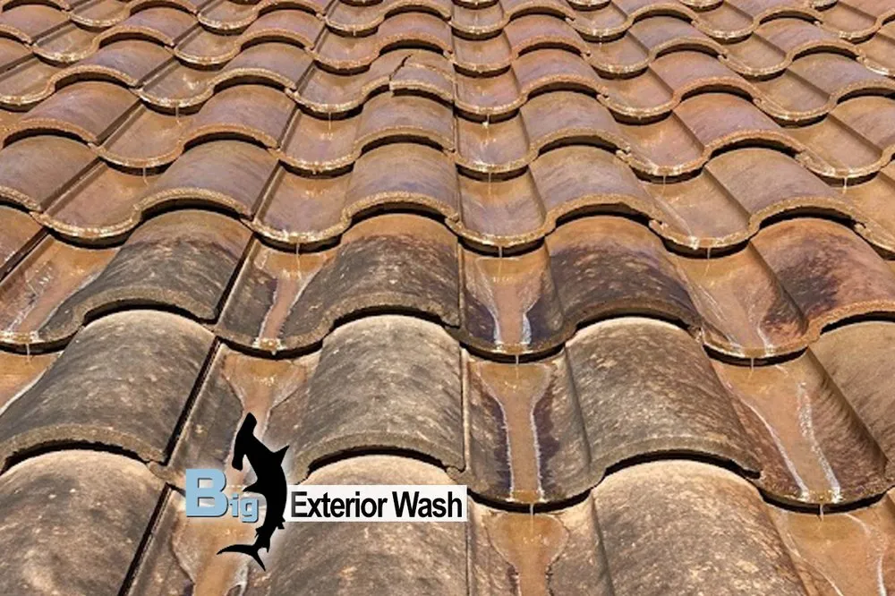 Slide of Naples Pressure Washing and Roof Cleaning