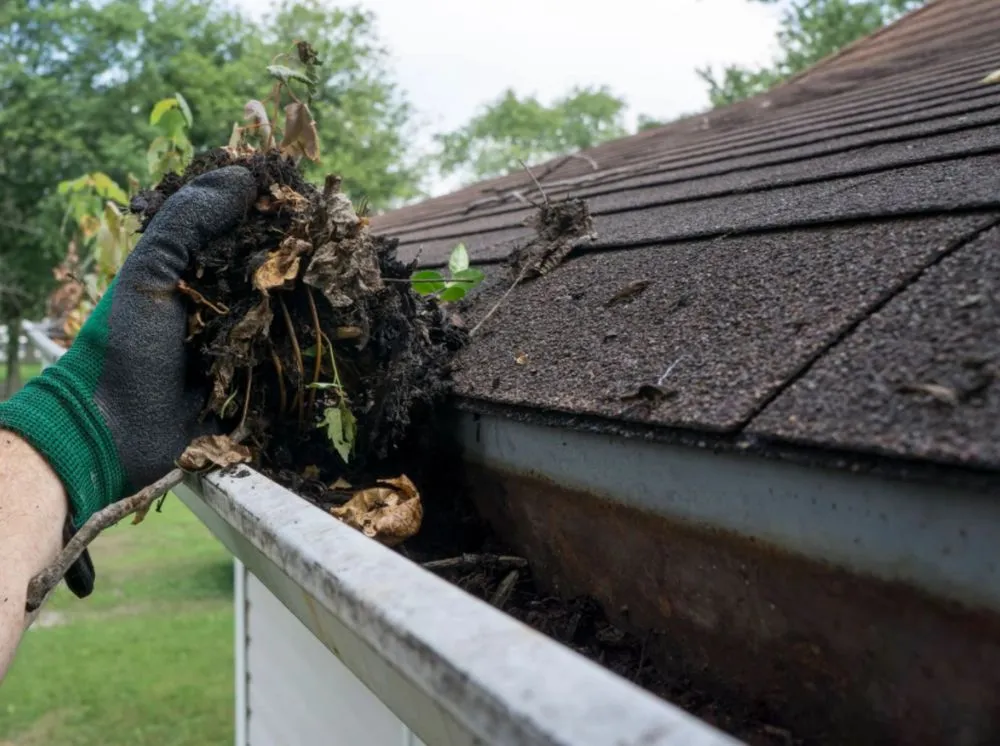 Slide of Narrowspros