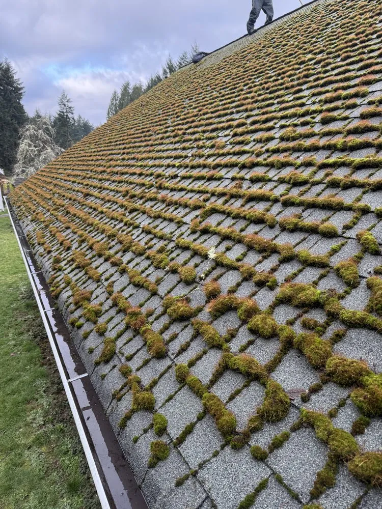 Slide of Narrowspros