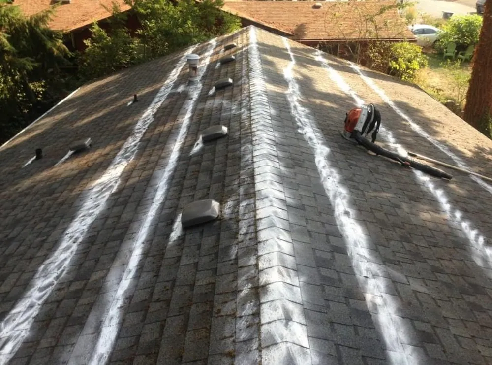 Slide of Narrowspros