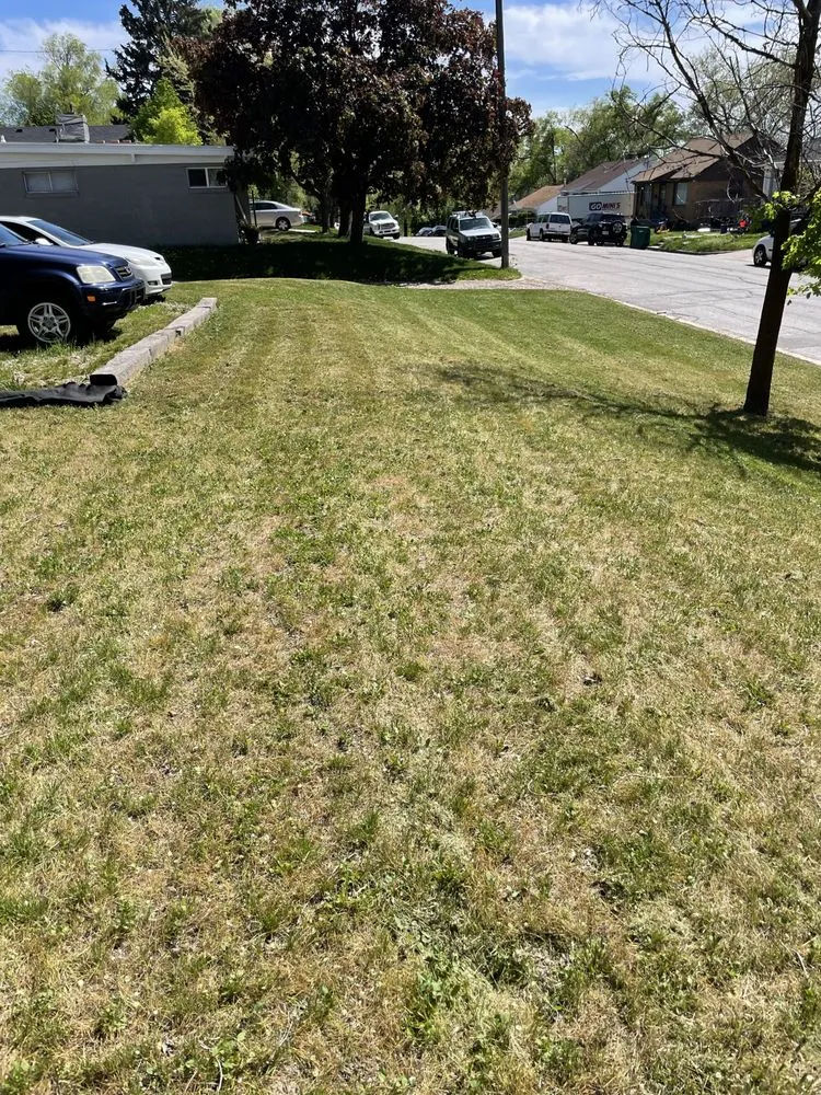 Slide of Nash Lawn and Home