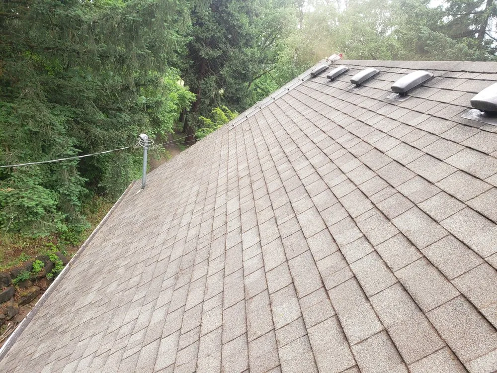 Slide of Nathan A Murray Roof Moss Removal