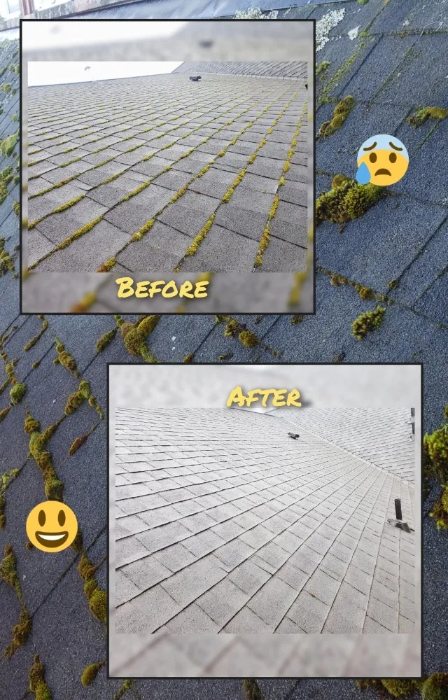 Slide of Nathan A Murray Roof Moss Removal