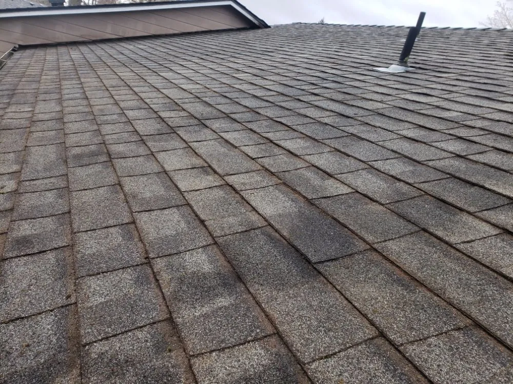 Slide of Nathan A Murray Roof Moss Removal