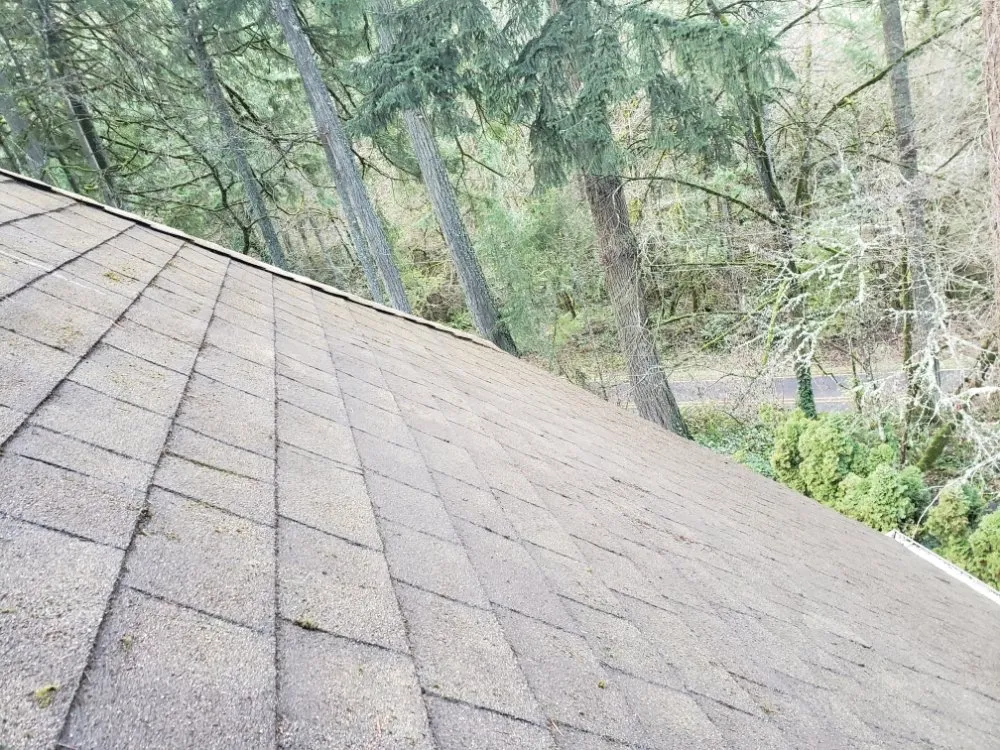 Slide of Nathan A Murray Roof Moss Removal