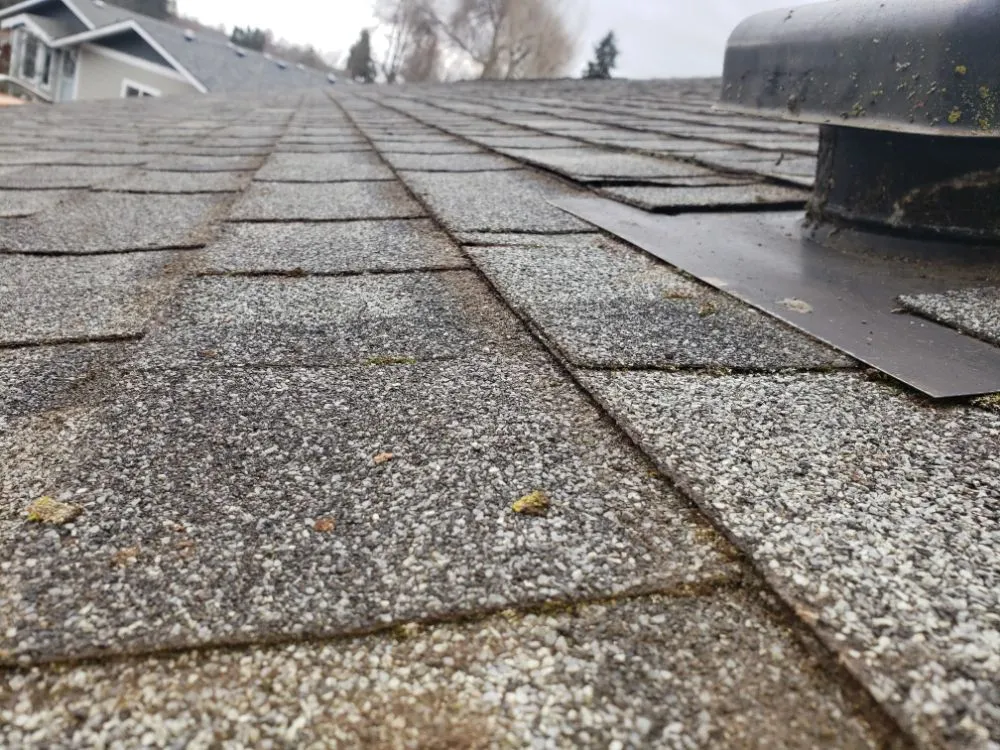 Slide of Nathan A Murray Roof Moss Removal