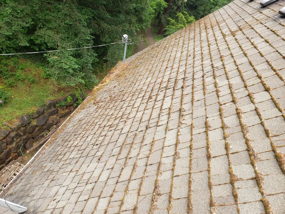 Slide of Nathan A Murray Roof Moss Removal