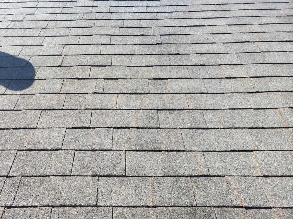 Slide of Nathan A Murray Roof Moss Removal