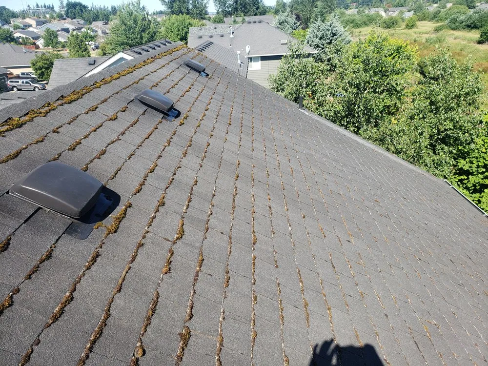 Slide of Nathan A Murray Roof Moss Removal