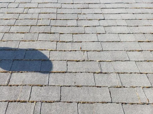 Nathan A Murray Roof Moss Removal