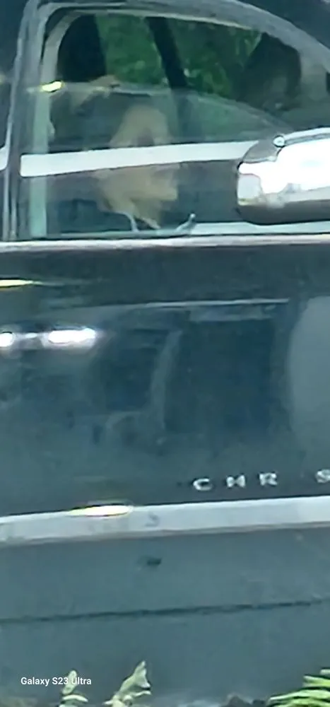 Slide of Nathans Roofing And Restoration