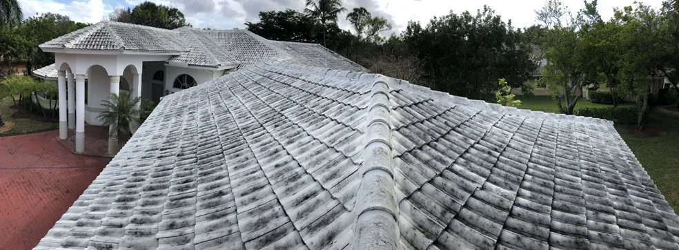 Slide of Nation Wash