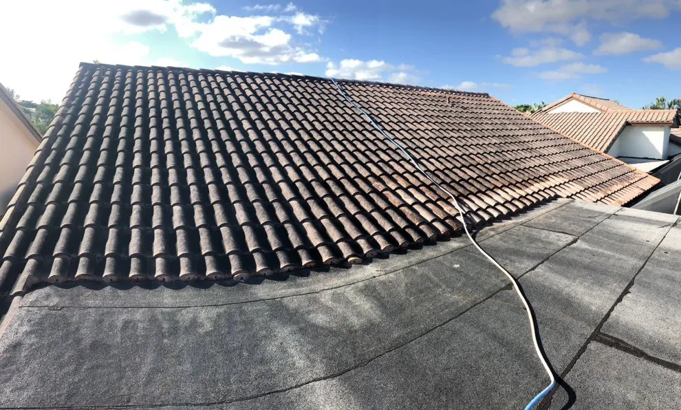 Slide of Nation Wash