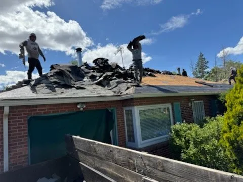 Slide of National Expert Consulting