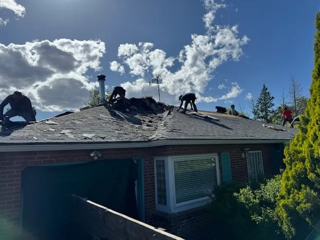 Slide of National Expert Consulting