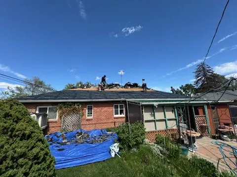 Slide of National Expert Consulting