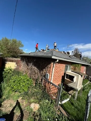 Slide of National Expert Consulting