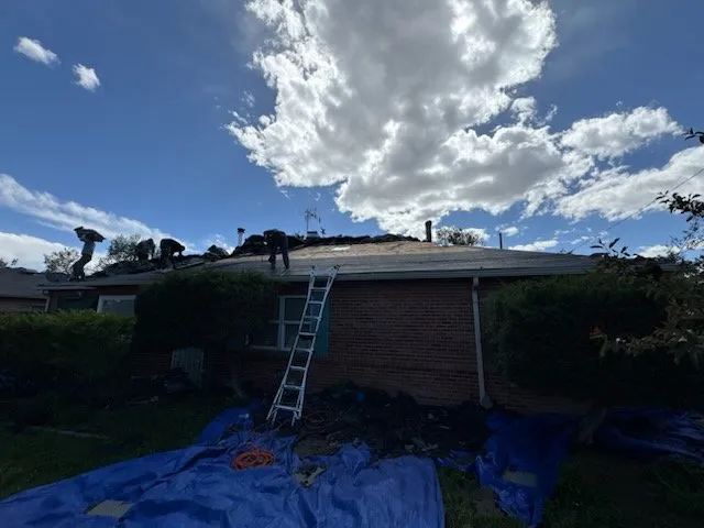 Slide of National Expert Consulting