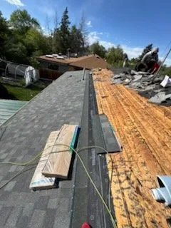 Slide of National Expert Consulting