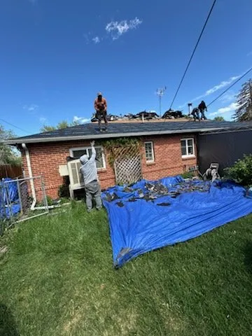 Slide of National Expert Consulting