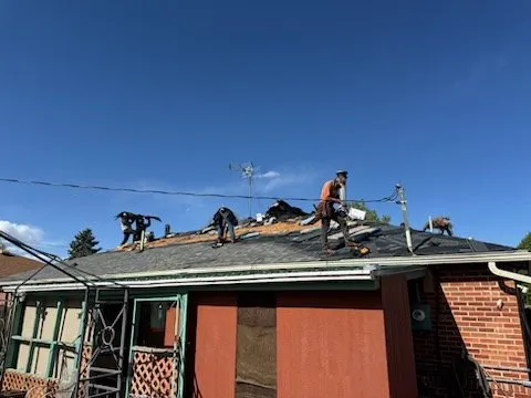 Slide of National Expert Consulting