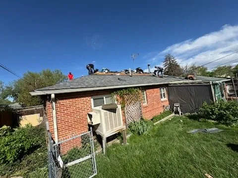 Slide of National Expert Consulting