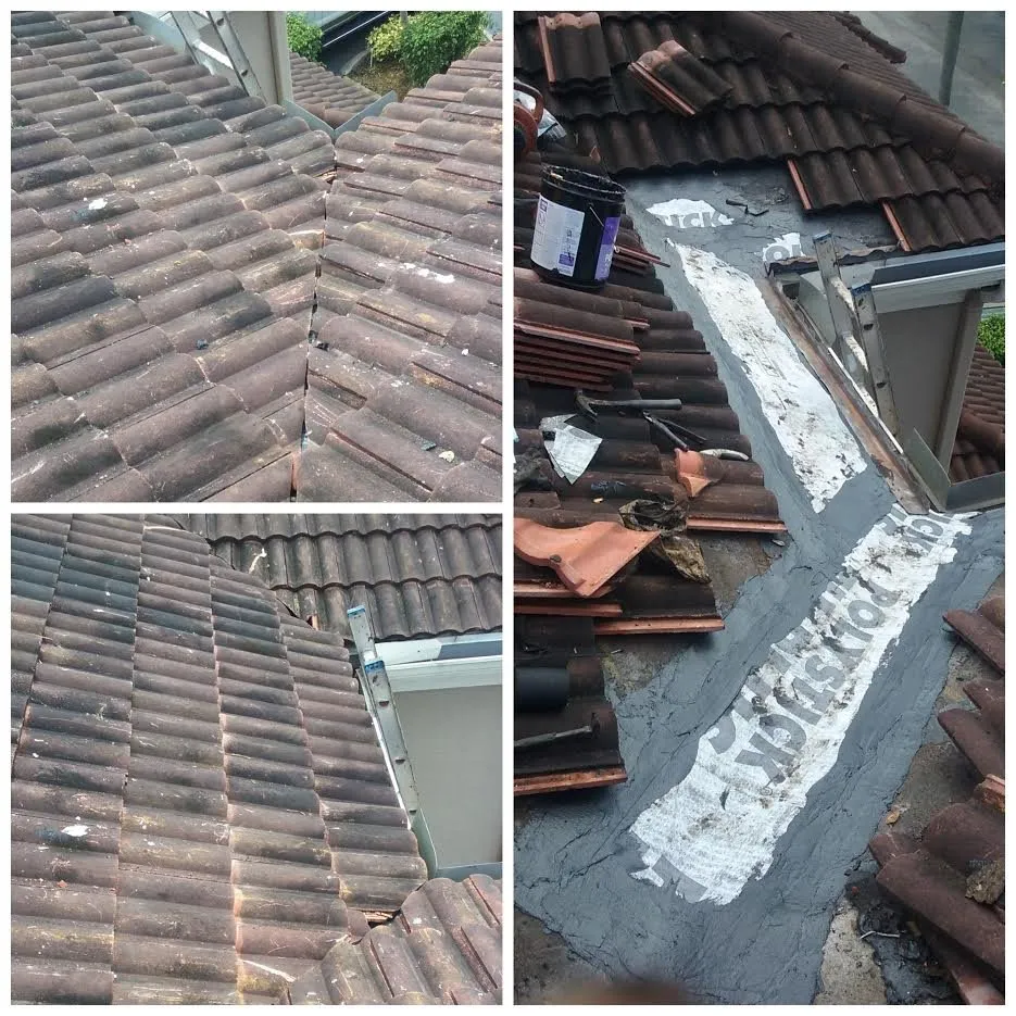 Slide of Native Roofing Enterprises