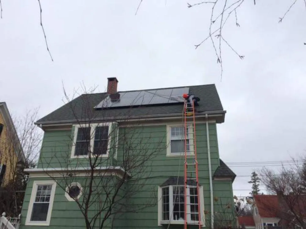 Slide of Natural Ecosystem