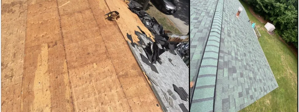 Slide of Natural Ecosystem