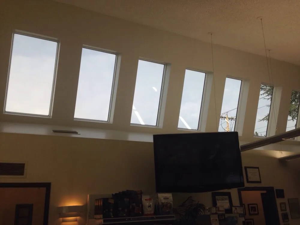 Slide of Natural Light Skylight