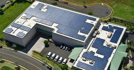 Slide of NaturalEcosystem