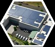 Slide of NaturalEcosystem