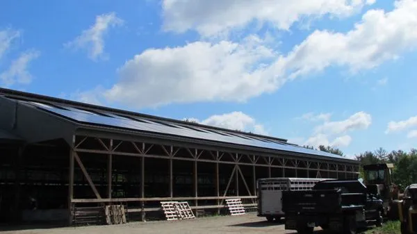 NaturalEcosystem Logo