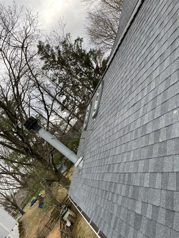 Slide of Nature Friendly Tree Removal