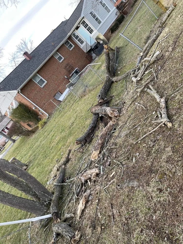 Slide of Nature Friendly Tree Removal