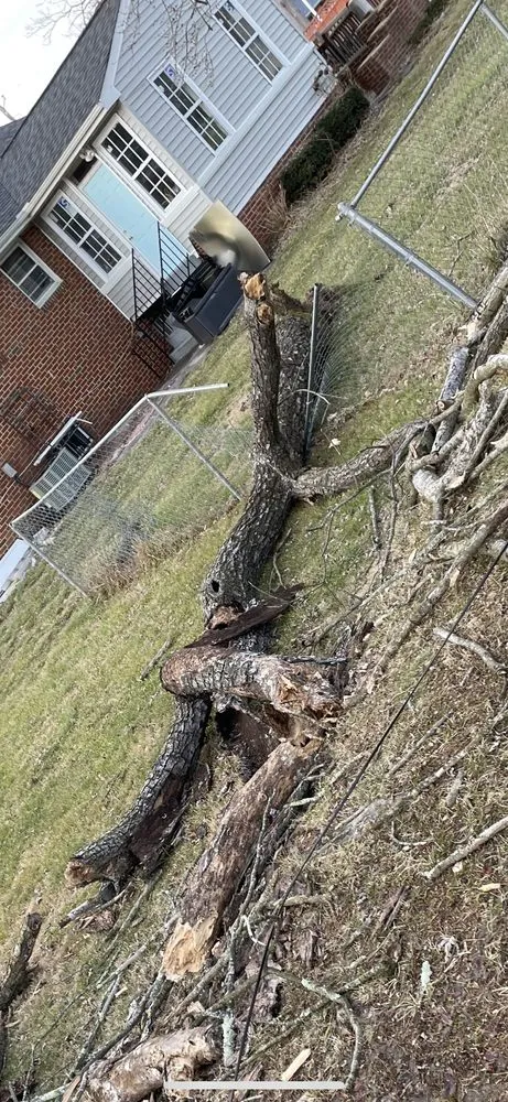 Slide of Nature Friendly Tree Removal