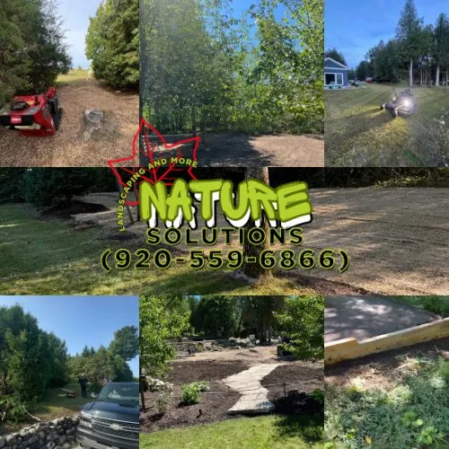 Professional roof leak repair for residential properties across Fish Creek, WI - Nature Solutions
